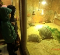 Поездка в Зоопарк - Чудо-Сад