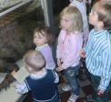 Экскурсия в Зоологический музей - Чудо-Сад