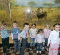 Экскурсия в Зоологический музей - Чудо-Сад